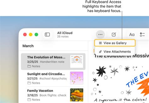 Navigate your Mac using Full Keyboard Access - Apple ਸਹਾਇਤਾ (IN)