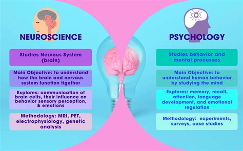 Neuroscience vs Psychology: Differences & Similarities