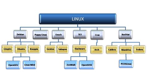 Image result for How Many Types of Linux