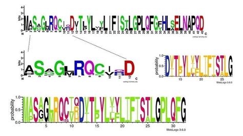 WebLogo 的图像结果