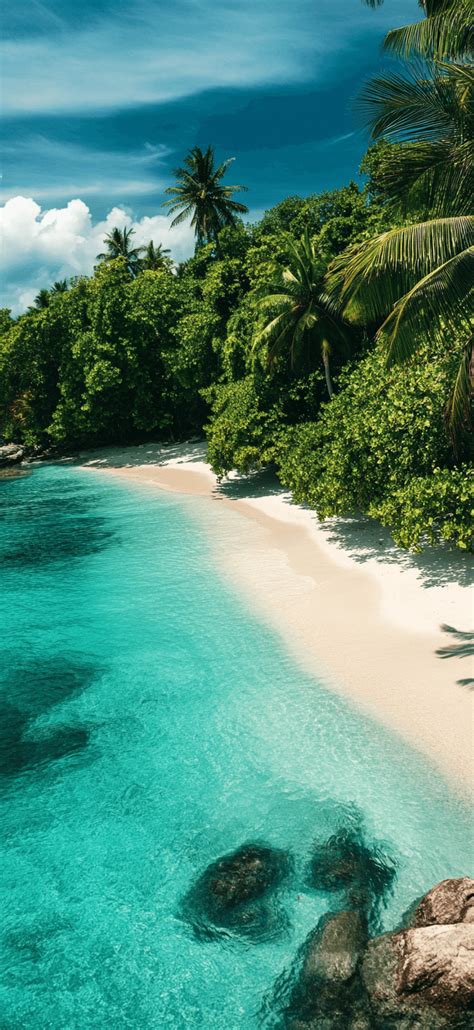 Bing Summer Beach Wallpaper 的图像结果