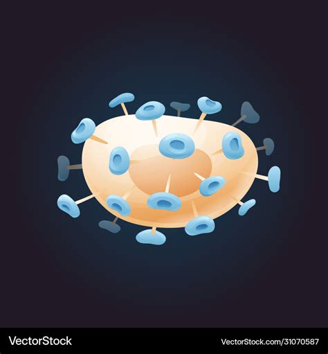 Virus Structure Animation 的图像结果