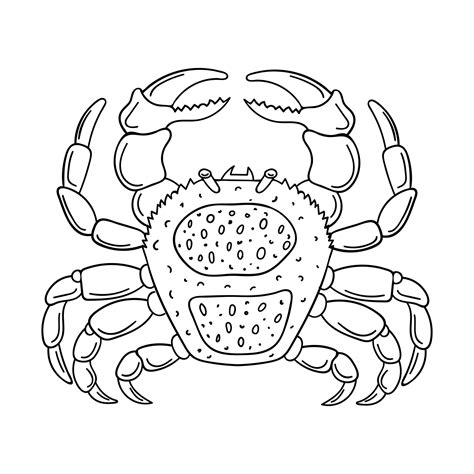 Marine Arthropoda Phylum