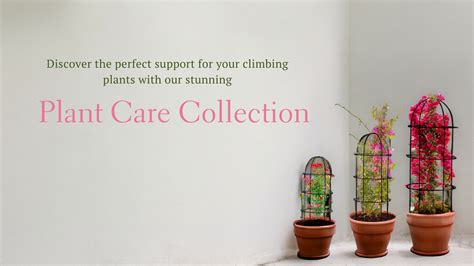 Plant Care/ Support – Ecofynd