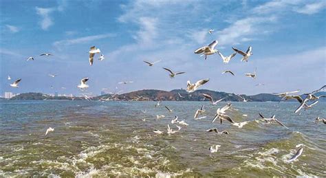 最美湖湾 逐浪前行——江苏无锡滨湖区高质量发展启示录|无锡市|太湖_新浪新闻
