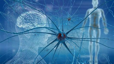 Neuroscientist reveals 3 simple exercises to boost brain cell growth
