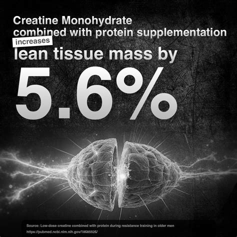 Shikanji Creatine Monohydrate 319g – Beastlife