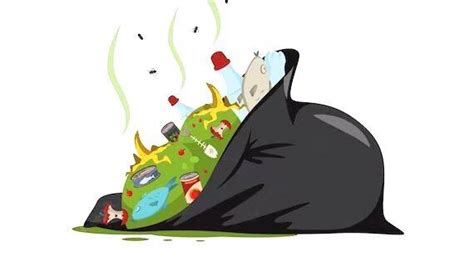 Public littering: Get up to Rs 2500 for providing information - KERALA ...