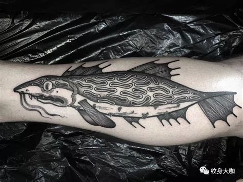 纹身手稿素材第519期：鱼_纹身百科 - 纹身大咖