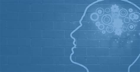 Coaching Process 的图像结果