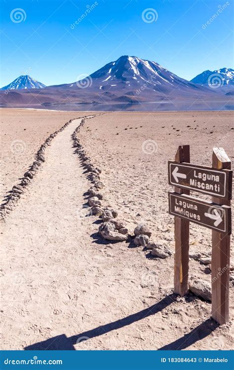 Lagunas Altiplanicas, Miscanti Y Miniques, Amazing View at Atacama ...