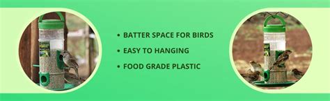 Amijivdaya Medium Bird and Water Feeder Combo (Green, Transparent ...