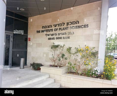 Israeli Agriculture High Resolution Stock Photography and Images - Alamy