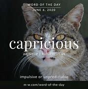 Image result for capricious