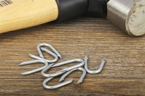 RS PRO | RS PRO Galvanised Netting Staples; 20mm x 2mm; 500g Bag | 170 ...