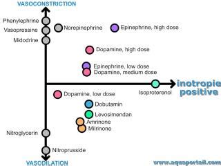 Inotrope Definition 的图像结果