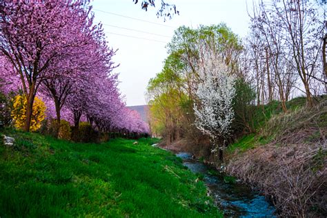 Image result for Springtime View