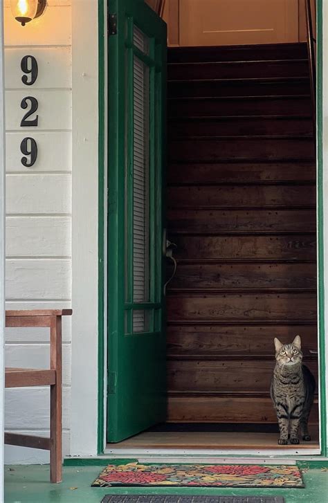 Atticus welcomes you to his humble abode. : r/AccidentalWesAnderson