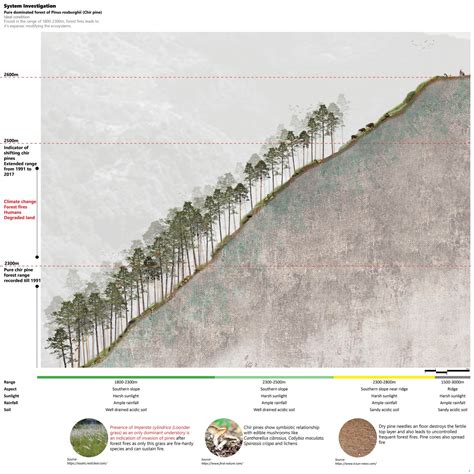 The shifting landscapes | CEPT - Portfolio