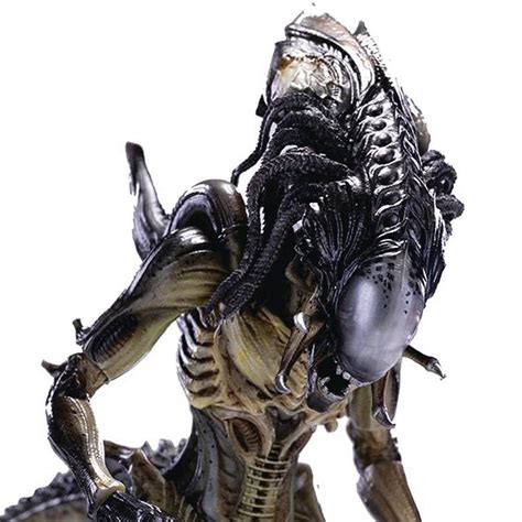 Image result for Alien vs Predator Predalien