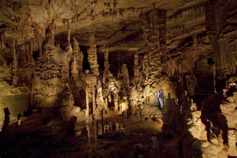 Secrets Of Alabama's Cathedral Caverns Ecosystem | TouristSecrets