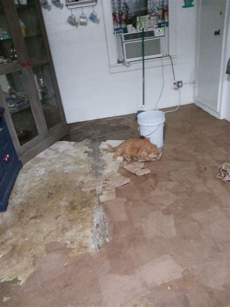 How To DIY Paper Bag Flooring – Home and Garden | Diy flooring, Paper ...