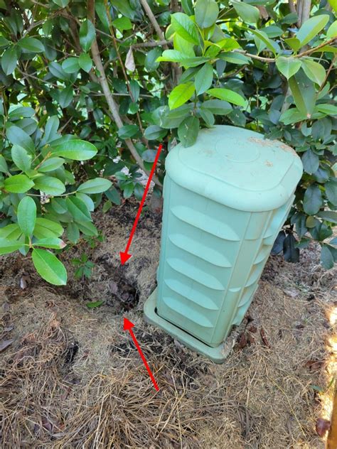 Comcast Utility Box 的图像结果