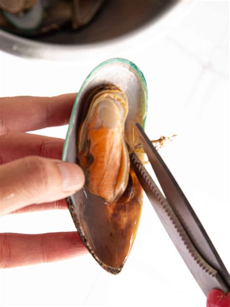 Image result for Recipes Using Frozen Mussel Meat