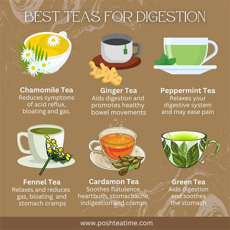 6 tips to improve digestion infographic – Artofit