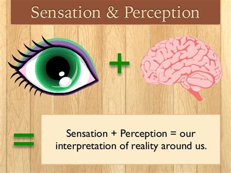 Image result for Sensation and Perception Examples