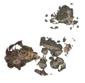 Category:Map Images - bg3.wiki