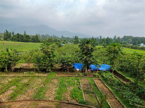 FOREST SIDE FARM (Kotabagh) - Guesthouse Reviews, Photos, Rate ...