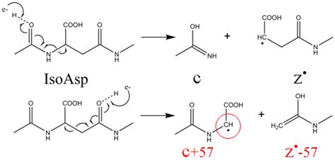 Image result for Random Science Computer Image