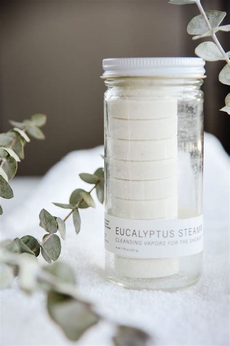 Eucalyptus steam shower steamer – Artofit