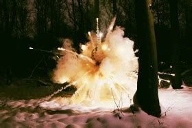 Image result for Exploding Tree in Winter