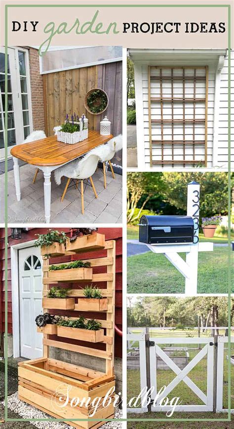 DIY garden project ideas (budget and time friendly) - Songbird