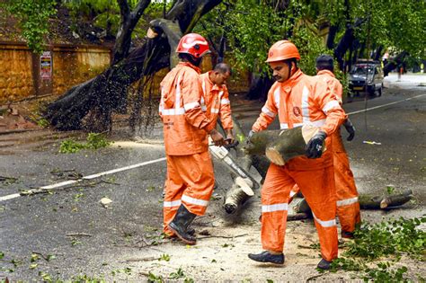 Heavy rain uproots trees, damages houses and infrastructure in Kerala ...