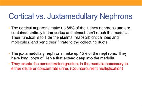 Renal Histology | PPTX