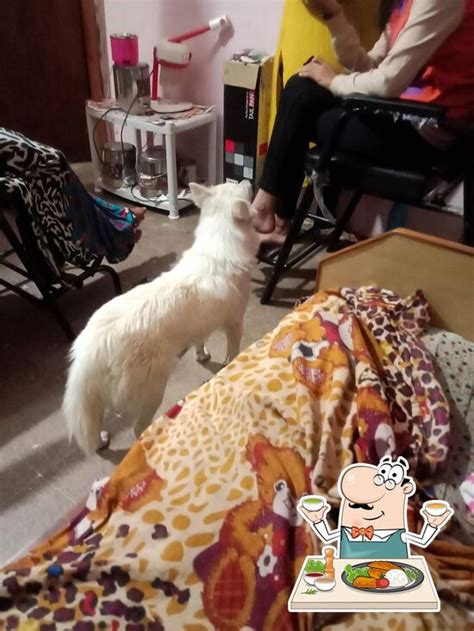 PATIL family & Garden Restaurants, Malegaon - Restaurant menu, prices ...