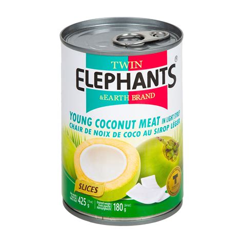 Twin Elephants Young Coconut Meat In Light Syrup 425 g Online at Best Price | Lulu UAE