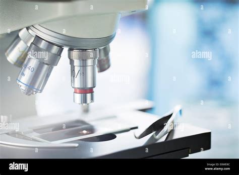 Image result for Microscope Slide View