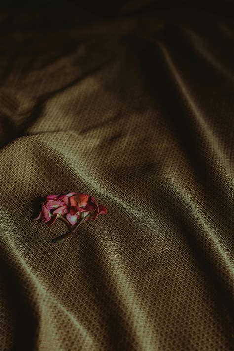 Cloth Texture 的图像结果