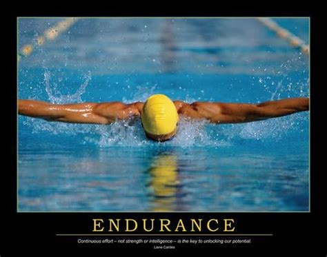 Endurance Poster : Enna: Amazon.in: Books