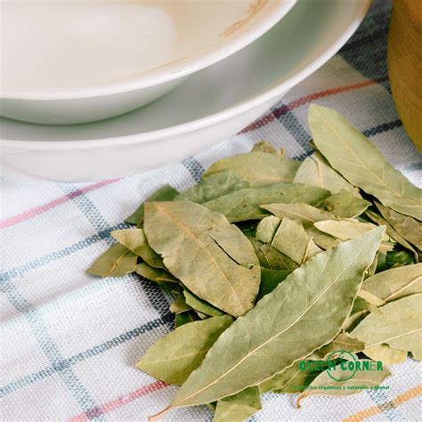 Hoja de Laurel - Green Corner