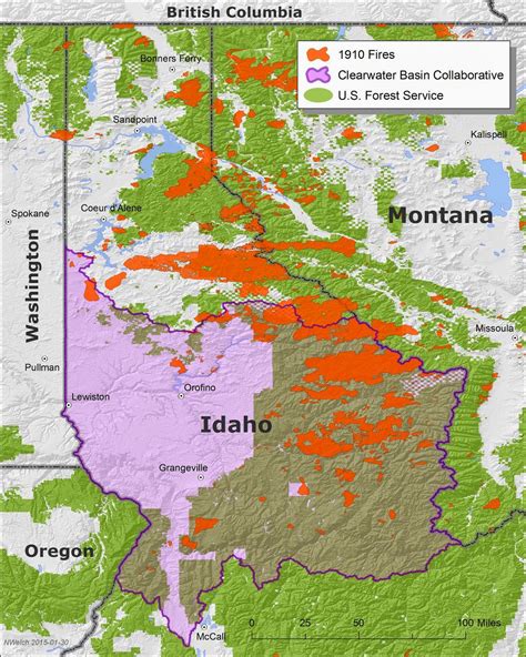 Idaho Nature Notes: The Big Burn and the Mid-Seral Bulge