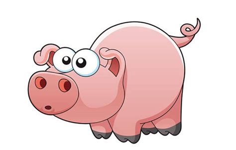 猪猪侠之百变联盟(《猪猪侠》系列的第九部动画作品)_360百科