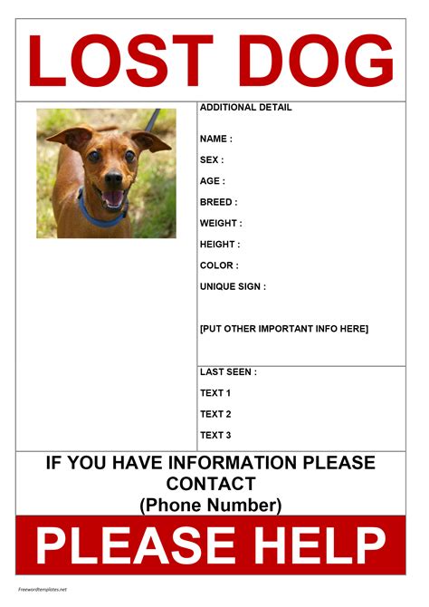 Missing Dog Poster Template Free