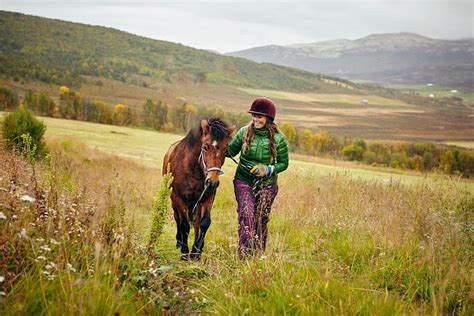 HJERKINN FJELLSTUE OG FJELLRIDNING - Ranch Reviews & Photos - Tripadvisor