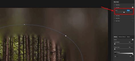 How To Blur Faces/Background/Images in Photoshop