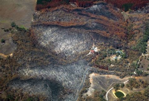 Bushfires raze World Heritage-listed forests in Australian island ...